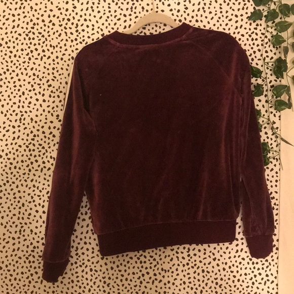 Adidas Maroon Velvet Cropped Crewneck - Picture 2 of 2
